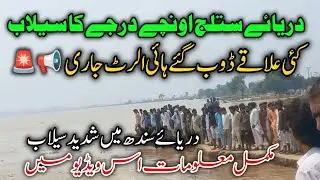 Sutlej river high flood update today || sutluj river bahawalpur news today || indus river high flood