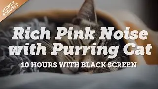 Purring Cat with Rich Pink Noise🐱 | Natural Mental Massage for Sleep and Relaxation