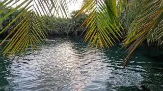 Plus Ultra Tanzania's Kilimanjaro Hot Springs