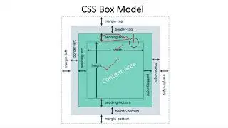 CSS Box Model