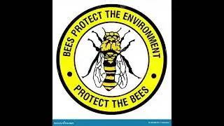 Bee In Solidarity
