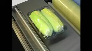 How to Use Wrapping Machine | Cling Film Food Vegetable Wrapping Machine | Wrapping Machine Guwahati
