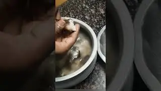 Attukal cleaning for paya | attukal paya in tamil  #trending #paya #attukal
