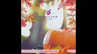 2023 Sinkland Farms Pumpkin Festival: Best Pumpkin Patch | Fall Fun for Everyone #pumpkinpatch