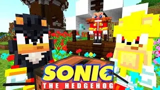 Sonic Enemies Team Up! [29] | Sonic And Friends | Minecraft