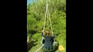 Como fazer um baloi&ccedil;o usando um pneu/ How to do a swing with a tire
