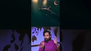 Devara is more than GOT🔥 Kalyan Ram about #devara #ntr #trailer #song #interview #review #r