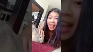 How you can create a strong bond with your rabbit! #rabbitcare #rabbittips #rabbitsoftiktok #bunnyl