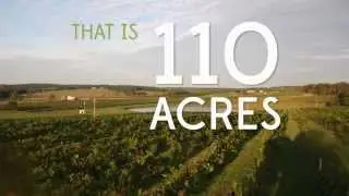 Missouri Wines Celebrates Vidal Blanc