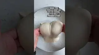 Signs to keep an eye on during the bulk fermentation #sourdoughbread #sourdough #bread