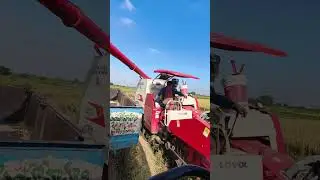 Agriculture 🌾#agriculture #farming #farmers #raithulu #vyavasayam #farmer #farmerlife