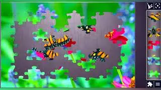 Beautiful Butterfly Jigsaw puzzle🦋🌺💐🎉🧩//@jigsawpuzzlezone