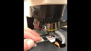Introduction of Mechanical Engineering Materials