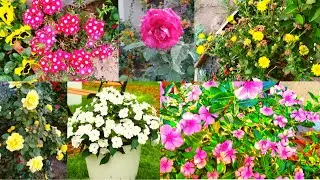 Gardening To Do List for Spring Season