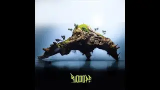 Biodope//Entering the Biodope