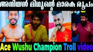 അനിയൻ മിഥുൻ ശെരിക്കും ഒരു കില്ലാഡി തന്നെയാ ഇന്നാ പിടിച്ചോ  Aniyan Midhun  | Wushu Champion