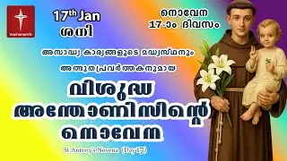 വിശുദ്ധ അന്തോണീസ് നൊവേന|17th January  | Day 17 St Antony's Novena VachanamTV | Live Prayer #stantony