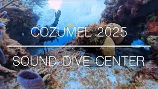 Cozumel 2025 Dive Trip - Iberostar w/ Sound Dive Center - EPIC! (4K, Insta360 OneX5 & Ace Pro 2)