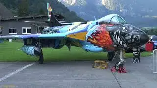 25. Jahre Hunterverein Mollis Best Of