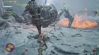 Omega Flawless Fight