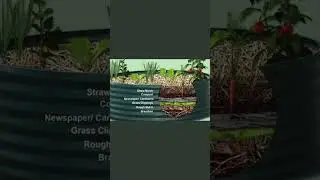 How to Build a Lasagna Garden Bed | Step-by-Step Guide for a Fertile Garden