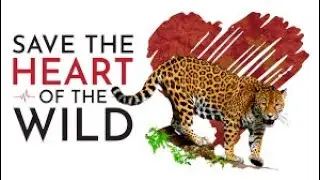 Saving Wildlife in 2025: The Future of Animals on Earth@Animalfacts-z7u