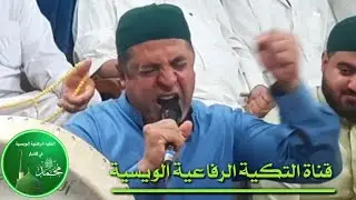 المداح حسن الويسي | قصيدة عيبٍ عليهم لبسة الخضره | انصب الرايه واشوشح بالكصيره