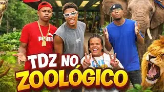 TDZ NO ZOOL&Oacute;GICO 🦍🦍🦍 ZAGO OCLENIS SAGATT DANDARA!! 
