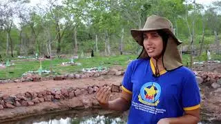 Manejo do uso sustentável da terra no semiárido do Nordeste brasileiro – Sergipe