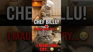 CHEF BILLU PART 1 - CAT COOKING KITCHEN DISASTER 😭💔 Meow Meow #sad #cat #sorry #shorts