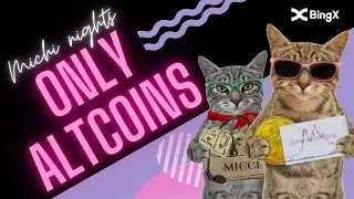 #bitcoin   MICHI NIGHTS - PODCAST CRIPTO 