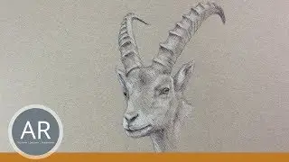 Einfach Tiere zeichnen lernen. Tier-Skizzen und Tier-Zeichnungen. Kunststudium Mappe, Akademie Ruhr