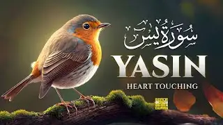 سورة يس 💖 Surah Yaseen | Heart-Touching Quran Recitation | Peace Of Heart Quran