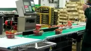 Checkweighers and sorting system