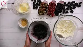 Tiramisu aux BelOrta m&ucirc;res