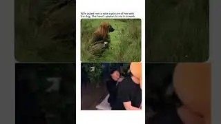 #trending #feedshorts #funny #funnycats #foryou #explore #cat #shorts
