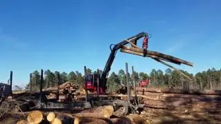 Loading Hardwood Pulpwood. 26 JAN 2017.