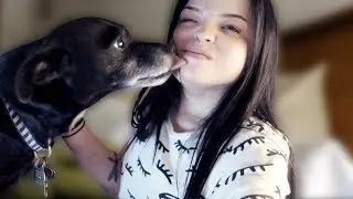 LIVING WITH SOMEONE ELSE'S DOG FOR A WEEKEND