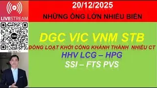 20/12 CỔ PHIẾU DGC VIC VNM STB HHV LCG &ndash; HPG  SSI &ndash; FTS PVS NG&Agrave;Y HỘI KHỞI C&Ocirc;NG - KH&Aacute;NH TH&Agrave;NH