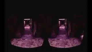 Affected Game P2 (The Asylum - Oh no! Silent Hill!)