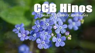 CCB Hinos Cantados 252, 25, 289, 401, 279, 260, 292, 232, 13, 76, 374, 260, 04