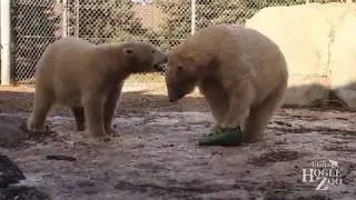 Hope and Nora Playing