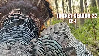 BED to DEAD!! - PA OPENING DAY GOBBLER DOWN!!! - Spring Turkey Hunting 2022