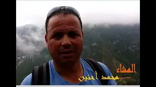 دردشة مع مشاء 
