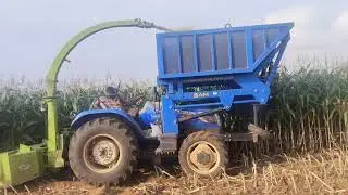 Corn 🌽 silage bag and green feeder available 9384481731