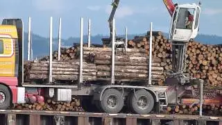lorry unloading forestry operations Scotland