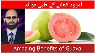Health Benefits Guava | Amrood Khane Ke Fayde | Amrud Me kaun Sa Vitamin Paya Jata Hai |tib o hikmat