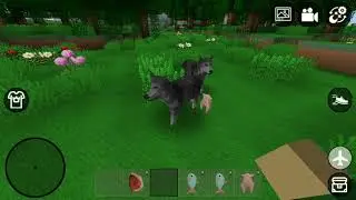 MINI BLOCK CRAFT || HOW TO FEED A WOLF