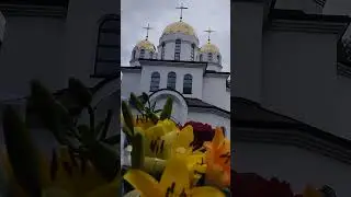 15.06.24