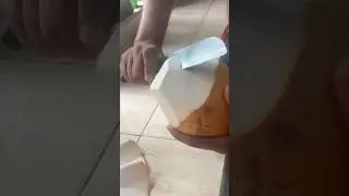 King Coconut Cutting Skills #cuttingskills #king #coconut #food #noonelikeus